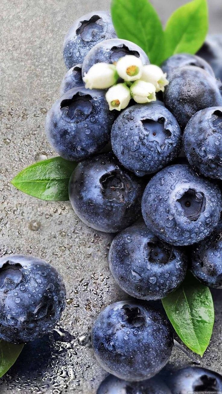 مدل رنگ روغن اورژینال